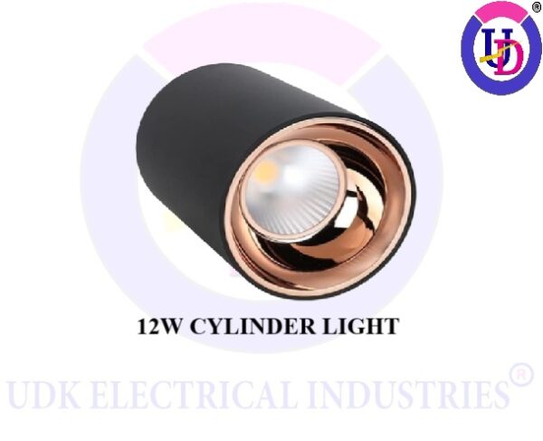 UDK 12W LED Indoor Outdoor Black Ceiling Lamp Round Drum Cylinder Light